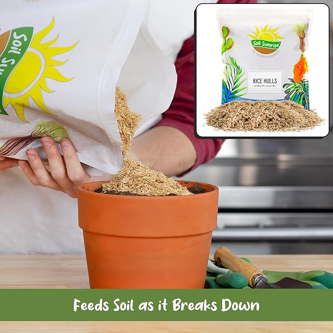 Soil Sunrise Horticultural Grade Rice Hulls (4 Quarts) All Natural Organic for House Plants and Chicken Bedding