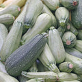 Grey Zucchini Summer Squash Garden Seeds - 1 Oz - Non-GMO, Heirloom - Vegetable Gardening Seed - Gray