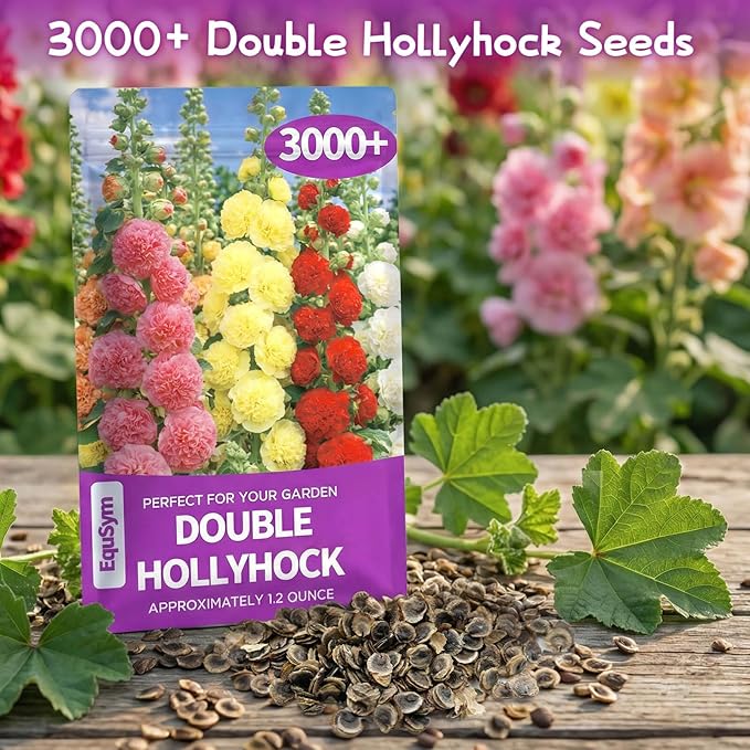 3000+ Double Hollyhock Flower Seeds - Large Bulk Pack, Mixed-Color Tall Hollyhock Seeds, Perfect for Fence Lines & Wall Backdrops, Cottage Garden Style, Beginner-Friendly