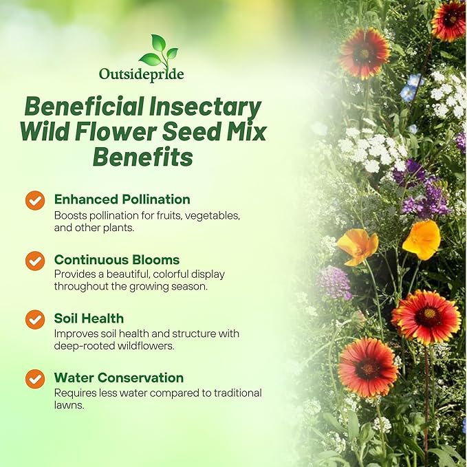 Outsidepride Insectary Wildflower Seed Mix - 5 lbs Combination of Deep-Rooted Perennial & Fast Growing Annual Wildflower Seeds for Attracting Beneficial Insects & Enhancing Biodiversity