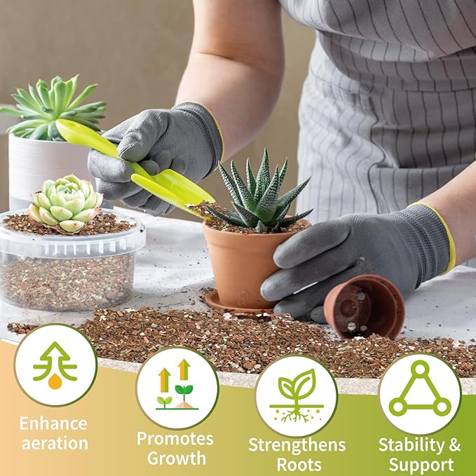 Succulent & Cactus Soil Potting Mix 10qt, Chunky Dirt with Fast Draining Fits for Bonsai, Terrarium and Houseplant
