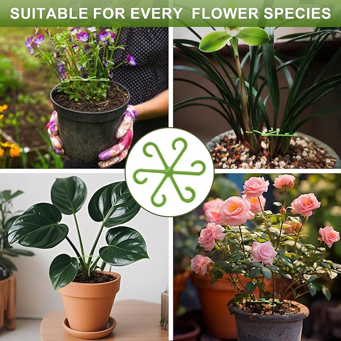 Plant Stem Support, Plant Support for Indoor Plants, 4 Sizes Climbing Houseplant Stem Supports, Plant Support Rings, Leaf Holders, Indoor Plant Stakes Stabilizer Accessories (8, Green)