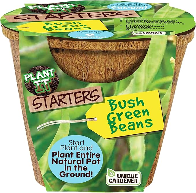 Plant-It Starters Plant Seeds 4-Pack, DIY Indoor Succulents and Live Plants for Home or Garden Planting, Green Bush Beans