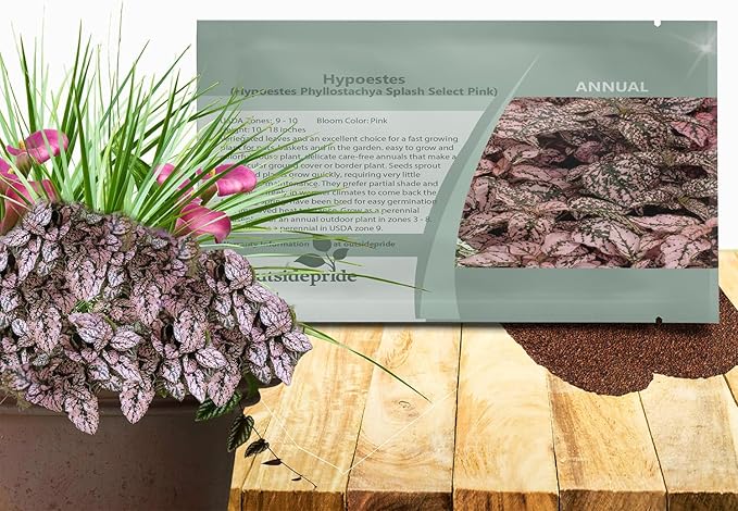 Outsidepride Splash Select Pink Hypoestes Seed for Planting - 50 Pcs Perennial Polka Dot Plant Seeds w/Variegated Foliage for Containers, Hanging Baskets, Small Gardens, Both Indoors & Outdoors