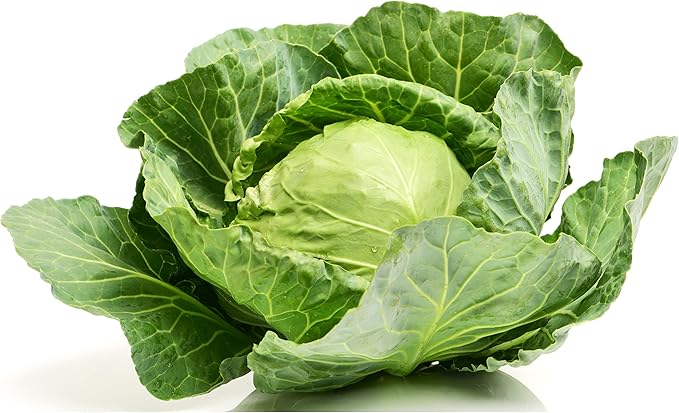 TKE Farms & Gardens - Cabbage Seeds for Planting, Golden Acre, 3 Grams, 700 Heirloom Seeds, Non-GMO, Packet Includes Instructions for Growing, Brassica oleracea, Qty 1