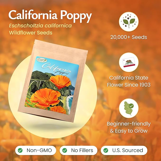 Created by Nature California Poppy Flower Seeds, 20,000 Native Wildflower Seeds, California State Flower