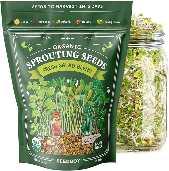 Seedboy Organic Non-GMO Fresh Salad Blend Sprouting Seeds & Kit – Includes Jar, Lid & Stand – USA Grown Microgreens Mix – 8 oz Bag Makes 24 Servings (Sprouting Jar/Salad Blend)