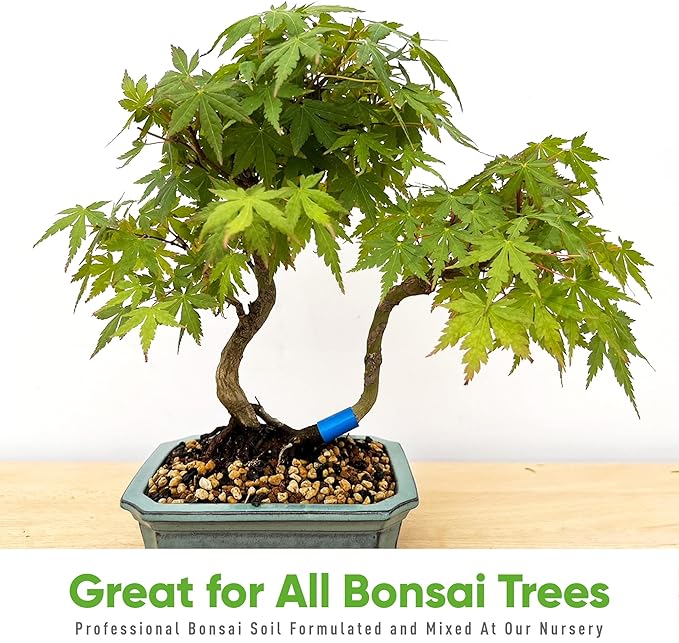 Bonsai Outlet Bonsai Soil Mix - Tinyroots All Purpose Bonsai Soil Mix Ready to Use Blend, Used for All Varieties of Bonsai Trees, 2.5 Gallons