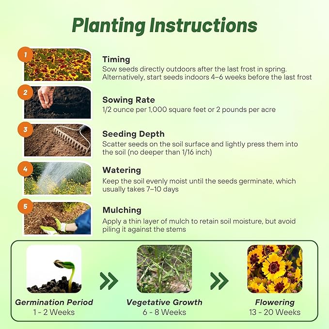 Outsidepride Plains Coreopsis Seeds - 5000 Pcs. Annual, Drought & Humidity Tolerant, Flower Seeds for Planting Vibrant Bicolored Blooms, Ideal for Xeriscaping and Low Maintenance Gardens