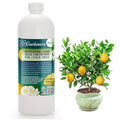 𝐏𝐑𝐎𝐅𝐄𝐒𝐒𝐈𝐎𝐍𝐀𝐋 Liquid Silica Plant Supplement - 32oz - Citron Tree Liquid Silica Boost Fertilizer - Stronger Stems & Healthy Leaves for Indoor & Outdoor Citron Trees (Makes 180 Gallons)