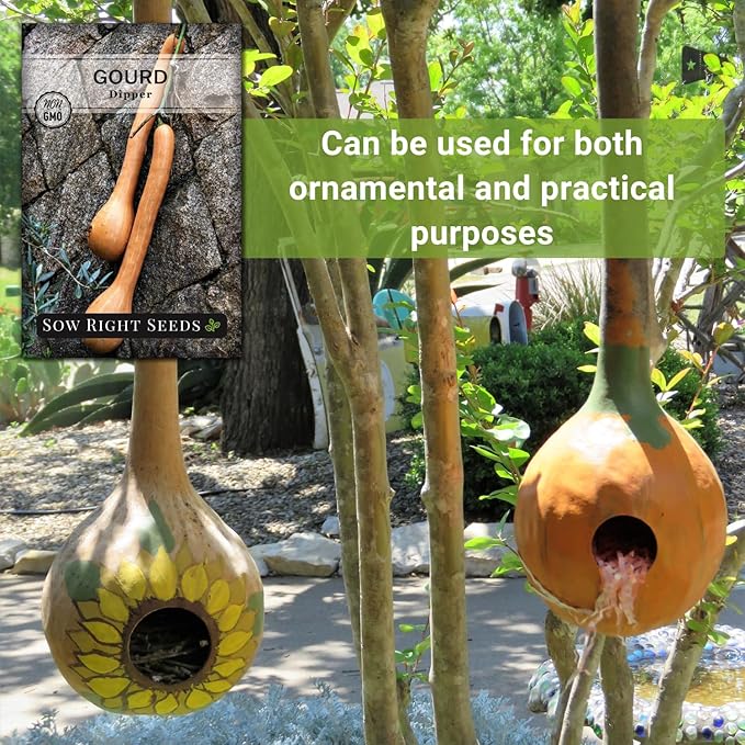 Sow Right Seeds - Dipper Gourd Seeds for Planting - Non-GMO Heirloom Packet with Instructions to Plant and Grow an Outdoor Home Vegetable Garden - Ornamental Craft Gourd - Rare & Unique (4)
