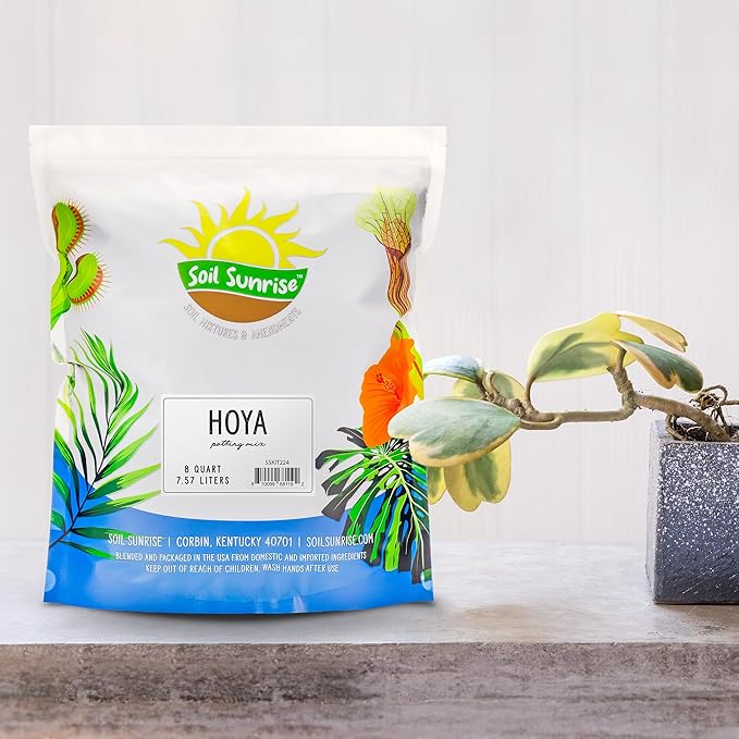Soil Sunrise Hoya Plant Potting Soil Mix (8 Quarts) Custom Blend for Growing Hoya Tropical Houseplants
