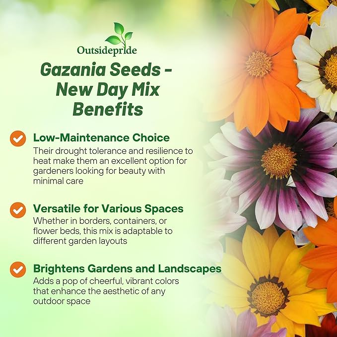 Outsidepride New Day Mixed Gazania Seeds for Planting – 50 Pcs Perennial, Low-Maintenance, Drought-Tolerant Ground Cover Seeds for Vibrant Summer & Fall Flowers, Great for Outdoor Gardens