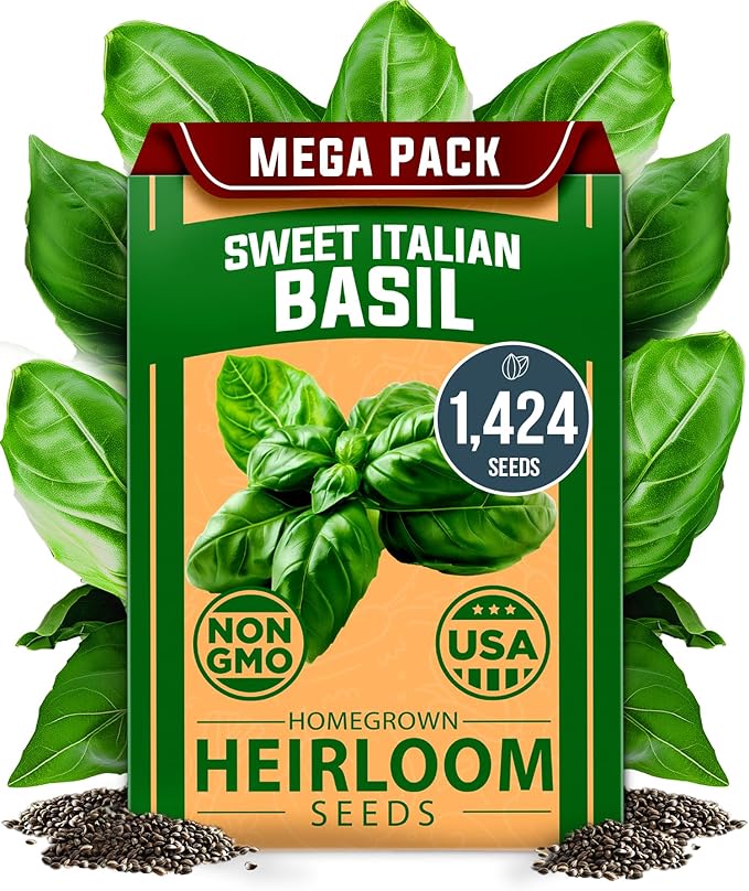 HOME GROWN Italian Basil Seeds 1,424+ & 30 Herb Seeds Pack 9,500+ – 𝗡𝗢𝗡-𝗚𝗠𝗢 USA Heirloom Seeds for Indoor/Outdoor Planting – Perfect for Culinary & Hydroponic Gardens