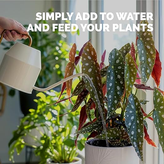 Begonia Fertilizer – Liquid Plant Food for More Blooms, Vibrant Color & Healthy Leaf Growth, 8 oz