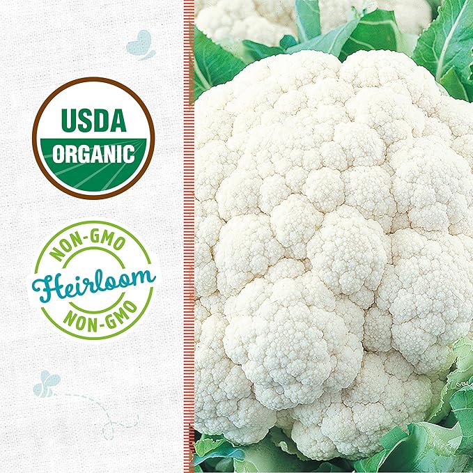 Back to The Roots 100% Organic Seed Packet - Cauliflower 'Snowball Y' 500mg