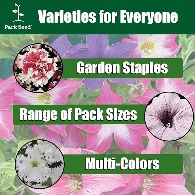 Park Seed Superbissima Giant Alba Petunia Seeds, Grandiflora Type with 6-Inch White Blooms and Purple Tones, Tetraploid Strength, Pollinator Friendly, Great for Containers and Borders, Pack of 10