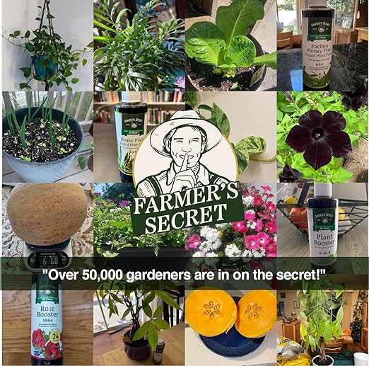 Farmer's Secret Houseplant Booster (4oz) - Super Concentrated, Makes 48 Gallons - Balanced 4-15-12 Formula Great for all Common Houseplants - Easy to use Drip Top