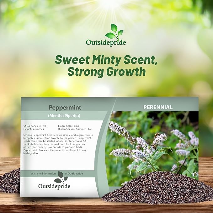 Outsidepride Peppermint Seeds for Planting - 2000 Pcs Perennial Compact Growth, Easy to Grow Herb Seeds w/Aromatic Foliage for Culinary Uses, Herbal Remedies & Wellness, Ideal for Container Gardening
