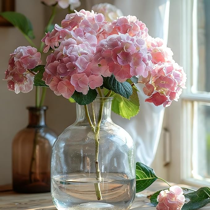 50 Hydrangea Macrophylla Seeds, Pink Hydrangea Plants Flower Seed for Planting, Perennial Non-GMO Hydrangea Seed for Home Garden Outdoor