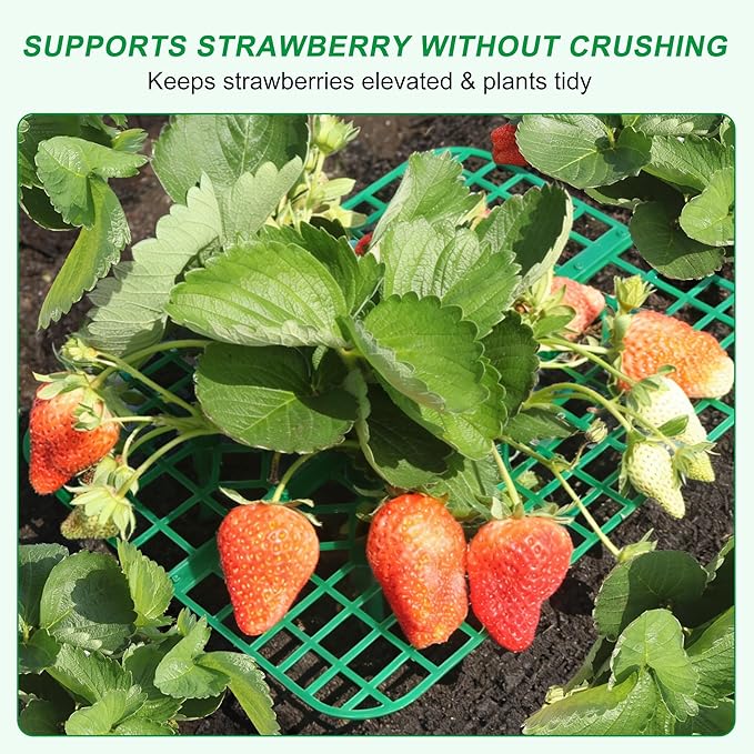 Strawberry Plant Support, 10 Pack, Raised Grid Stand to Keep Strawberries Off the Ground, Strawberry Holder for Garden Beds, Raised Planters & Pots (Square)