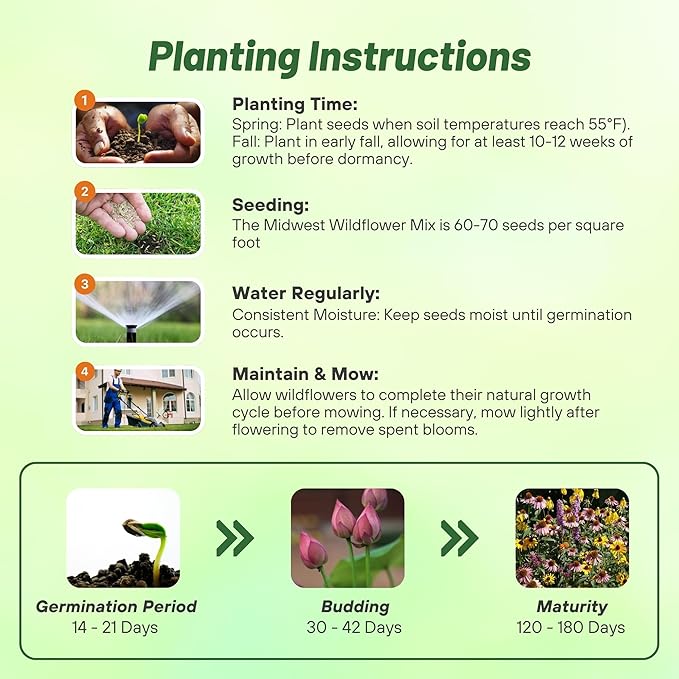 Outsidepride Midwest Wildflower Seed Mix - 1/4 Lb Premium Blend of Annual & Perennial Native Wildflower Seeds for Midwestern States, Attracts Pollinators, Low-Maintenance, Ideal for Meadows & Gardens