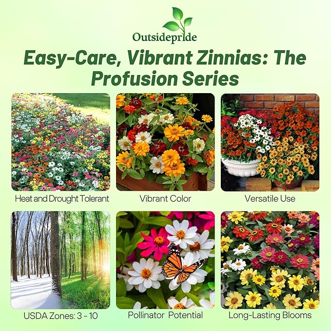 Outsidepride Profusion Double Mix Zinnia Seeds - 50 Pcs Annual, Hardy & Drought Tolerant, Easy to Grow, Flower Seeds for Planting with Daisylike Double Blooms, Ideal for Pollinator Gardens
