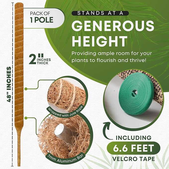 Moss Pole Monstera Plant Support | 60 Inch Plant Stakes for Indoor Plants | Coconut Palm Fiber Moss Poles for Climbing Plants | Handmade Plant Sticks Support Tall Monstera, Pothos & More