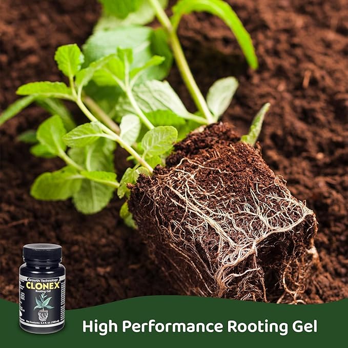 Clonex Rooting Gel - High-Performance Rooting Compound for Plant Cuttings, Contains IBA, Promotes Root Initiation & Development - 250ml