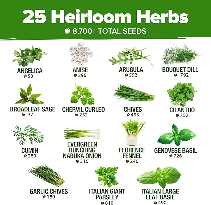 HOME GROWN 25 Herb Seeds for Planting 8,700+ Non-GMO Heirloom Seeds | Extra Large Variety Pack Herb Kit – Indoor Outdoor & Hydroponic | Culinary Seed Set | Grow Your Own Herbs | Gardening Gift