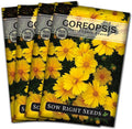 Sow Right Seeds - Dwarf Lance-Leaved Coreopsis Seeds for Planting - Non-GMO Heirloom Perennial Tickseed - Easy-to-Grow Flower for Butterflies & Bees - Sun-Loving Blooms for Gardens and Borders (4)