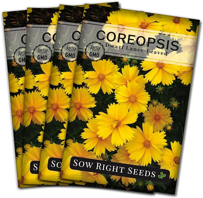 Sow Right Seeds - Dwarf Lance-Leaved Coreopsis Seeds for Planting - Non-GMO Heirloom Perennial Tickseed - Easy-to-Grow Flower for Butterflies & Bees - Sun-Loving Blooms for Gardens and Borders (4)