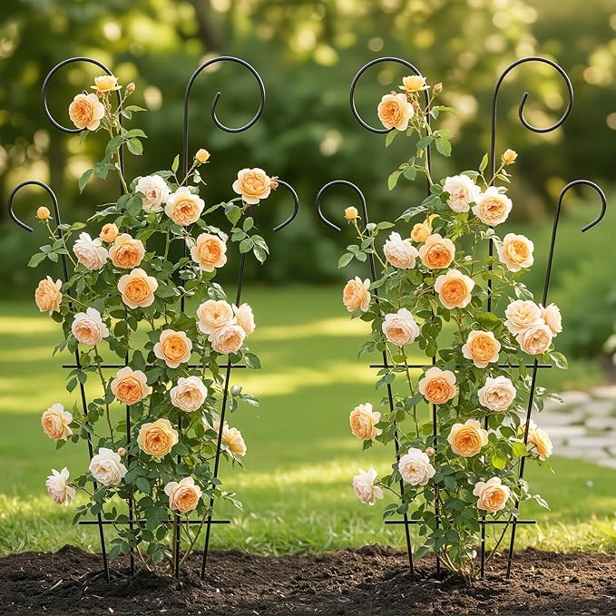 4 Pack 43 Inch Plant Trellis for Potted Plants, Metal Garden Trellis for Climbing Plants, Indoor Outdoor Decorative Vine Support for Pots, Wave Shape, Black
