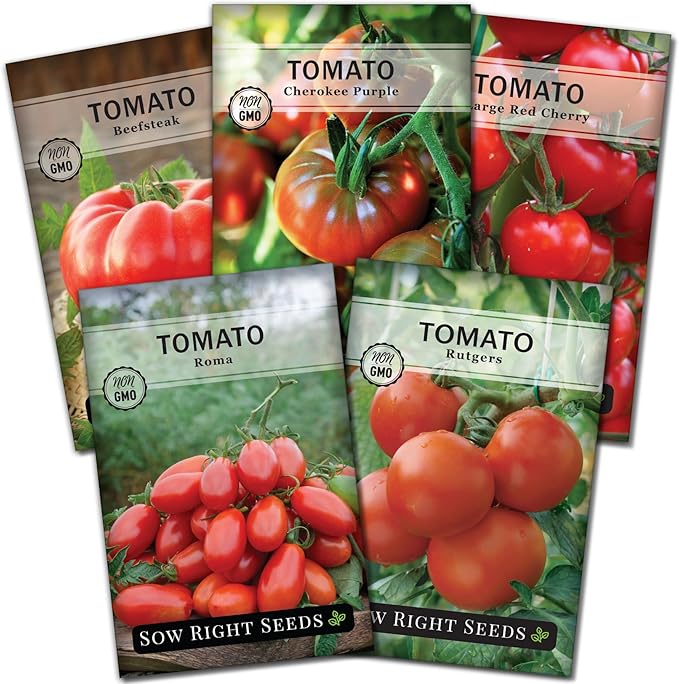 Sow Right Seeds - Classic Tomato Seed Collection for Planting - Cherokee Purple, Beefsteak, Large Red Cherry, Rutgers, and Roma Tomatoes - Non-GMO Heirloom Varieties Plant a Home Vegetable Garden
