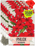 Seed Needs Phlox Seeds for Planting Red Drummond Phlox - Heirloom & Open Pollinated Annual Flowers to Attract Butterflies & Bees to a Butterfly Garden (5 Packs)