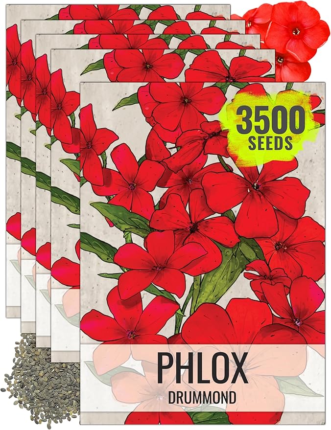 Seed Needs Phlox Seeds for Planting Red Drummond Phlox - Heirloom & Open Pollinated Annual Flowers to Attract Butterflies & Bees to a Butterfly Garden (5 Packs)