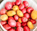 Northshire Farms 5 lbs. Naturally Grown Seed Non GMO Red Pontiacs and German Butterballs