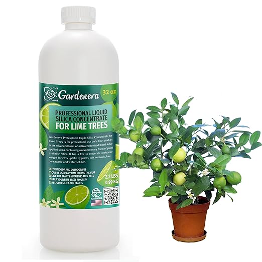 𝐏𝐑𝐎𝐅𝐄𝐒𝐒𝐈𝐎𝐍𝐀𝐋 Liquid Silica Plant Supplement - 32oz - Lime Trees Plants Liquid Silica Boost Fertilizer - Stronger Stems & Healthy Leaves for Indoor & Outdoor Lime Trees (Makes 180 Gallons)