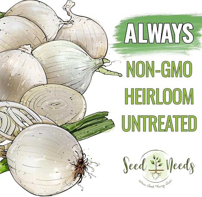 Seed Needs Onion Seeds for Planting White Sweet Spanish Long Day Onions - Non-GMO Heirloom & Untreated Vegetable Seeds to Plant an Outdoor Home Grown Veggie Garden (2 Packs)