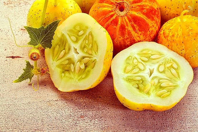 Vegetable Garden Seeds for Planting - Grow Heirloom Vegetables (Lemon Cucumber)