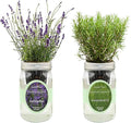 2-Pack Hydroponic Mason Jar Herb Garden Kit, Indoor Herb Garden Self-Watering Starter Kit, New Christmas Gift for Mom (Lavender,Rosemary)