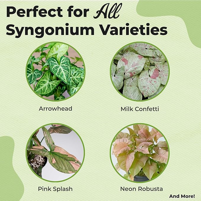 Syngonium Food Mist by Perfect Plants | Liquid Spray Foliar for Arrowhead Plants and Other Indoor Houseplants | Balanced Nutrient Blend Fortified with Boron (8 fl oz)