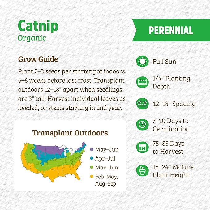 Back to The Roots 100% Organic Seed Packet - Catnip 100mg