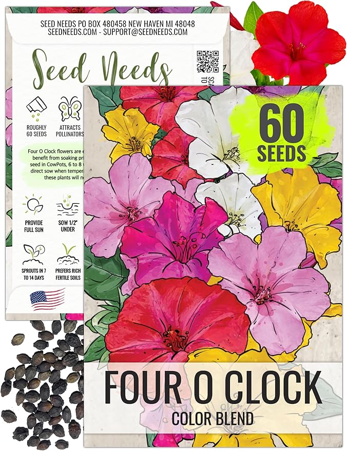 Seed Needs Four O Clock Seeds for Planting Mixed Flowers - Heirloom & Open Pollinated Annual Wildflowers to Attract Butterflies to a Butterfly Garden (1 Pack)