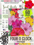 Seed Needs Four O Clock Seeds for Planting Mixed Flowers - Heirloom & Open Pollinated Annual Wildflowers to Attract Butterflies to a Butterfly Garden (1 Pack)