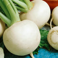 White Globe Round Turnip Seeds - 1 Oz ~12000 Seeds - Non-GMO - Vegetable Garden - Brassica rapa