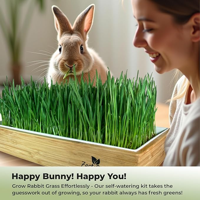 Rabbit Grass Growing Kit – Easy, Self-Watering System for Fresh, Healthy Indoor Greens