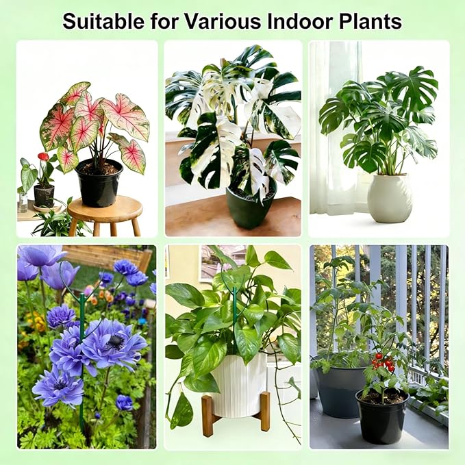 12 Pack Stackable Plant Stakes, Monstera Plant Support, Climbing Plant Stakes for Indoor & Outdoor Potted Plants, Branch-Like Shape Stem Accessories (12 Pack)