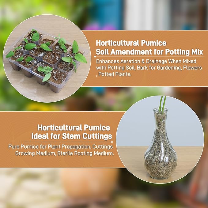 Pumice for Plants, 3 Quarts (1/4 Inch) Horticultural Pumice Stone, Natural Soil Amendment for Succulent Cactus Bonsai for Orchid Potting Mix, Improve Drainage & Aeration