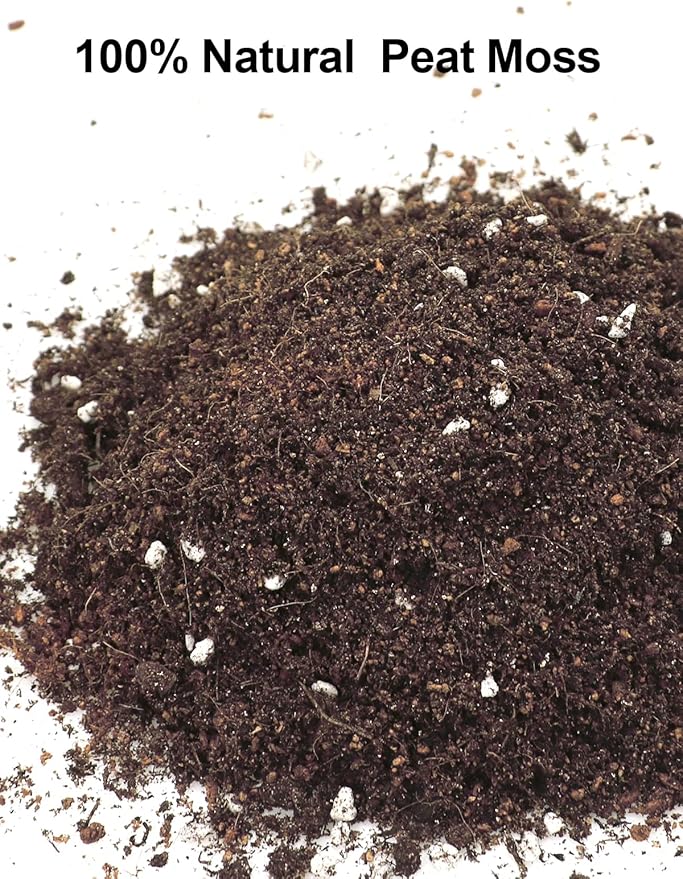 Sphagnum Peat Moss, Natural Bonsai Potting Mix, Succulent and Cactus Potting Soil, Organic Garden Growing Soil Amendment and Media, for Flowers, Vegetables, Herbs, Orchid, Indoor Houseplant, 3qt